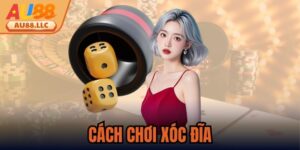 Cách Chơi Xóc Đĩa