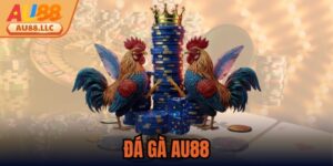 Đá Gà Au88